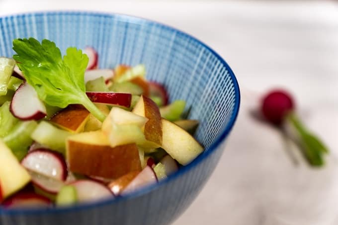 Apples and celery salad with radishes