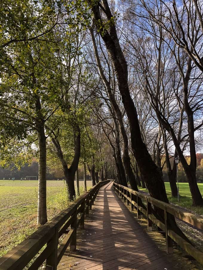 Fürth (Germany), am Pappelsteig