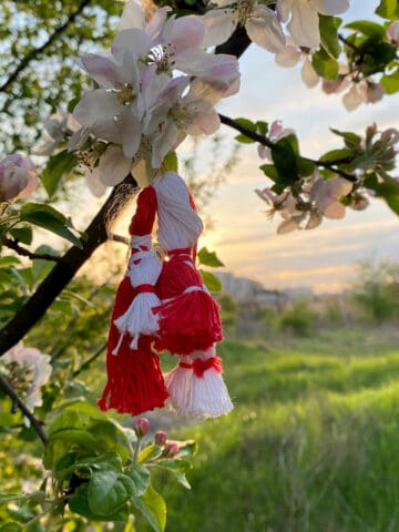 Martisor (red and white thread dangling from a blooming spring tree)