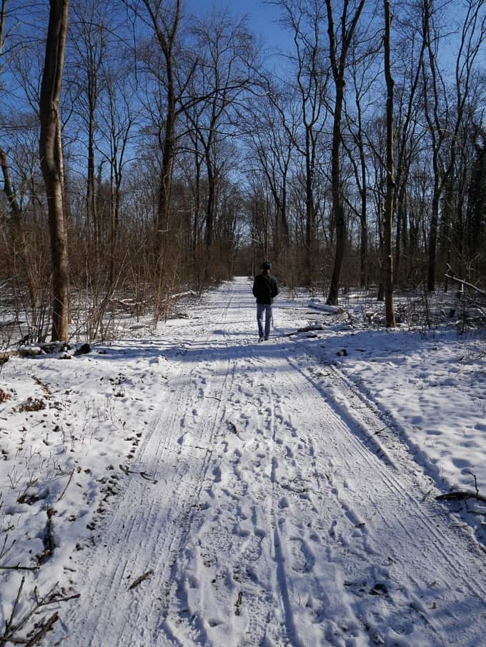 Man walking in a snowy forest - fighting the Coronavirus blues by going on a walk