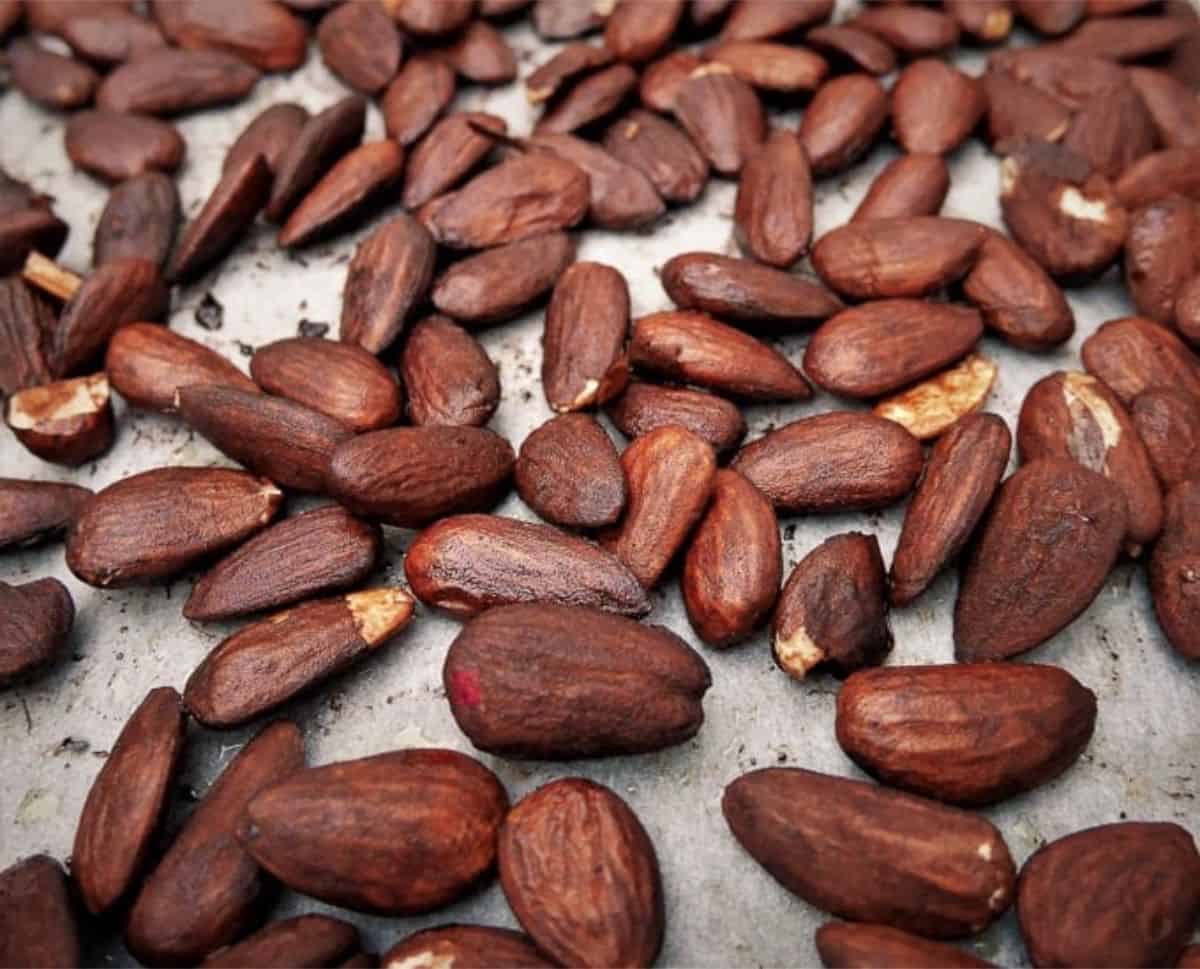 roasted tamari almonds