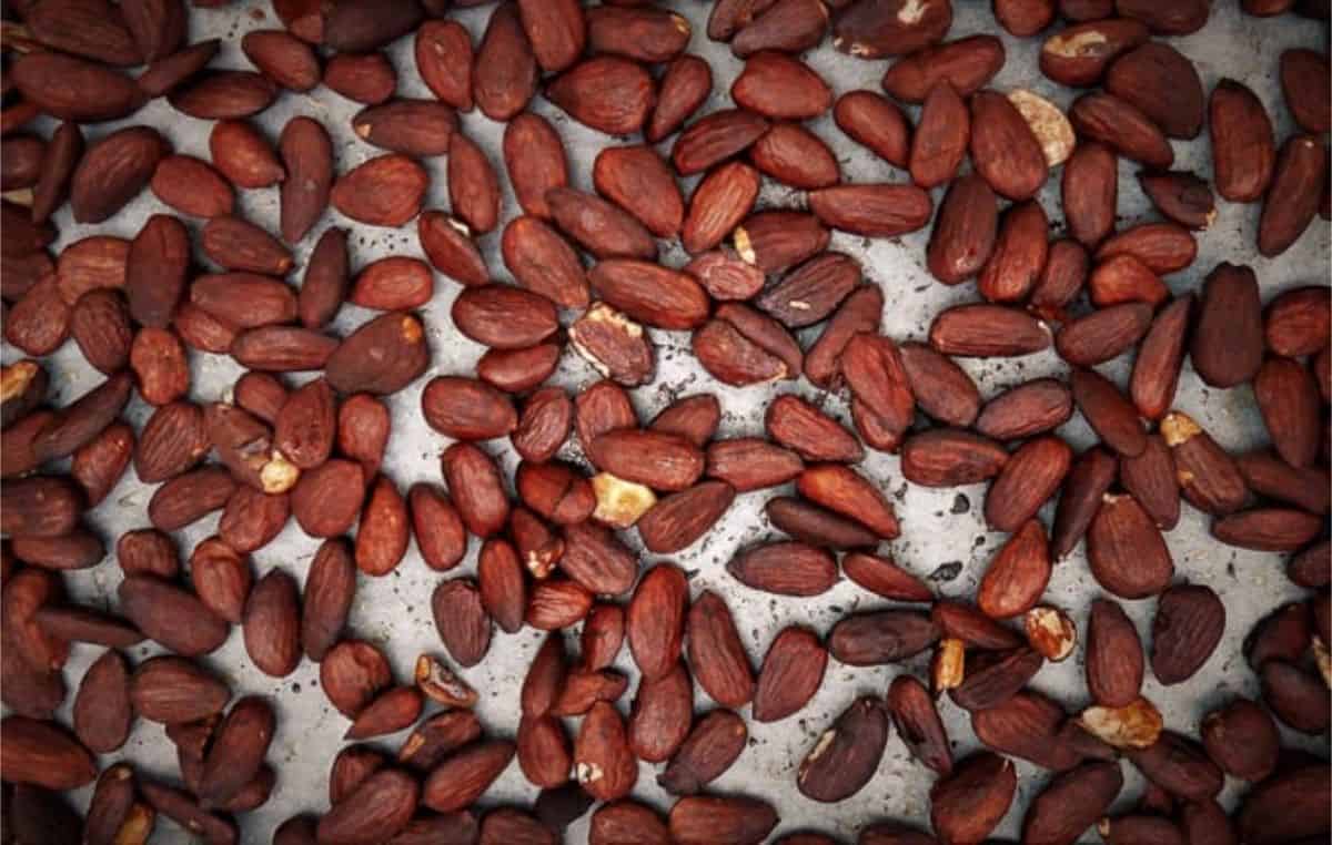 roasted tamari almonds
