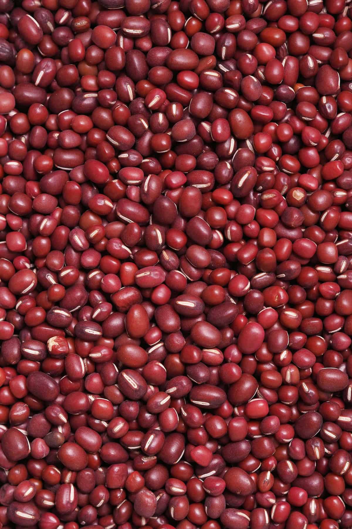 Red beans, aka adzuki beans