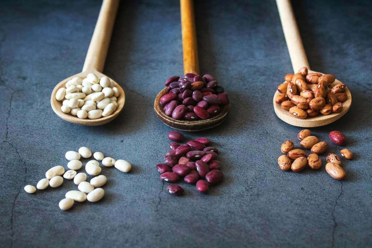 Variety of kidney beans