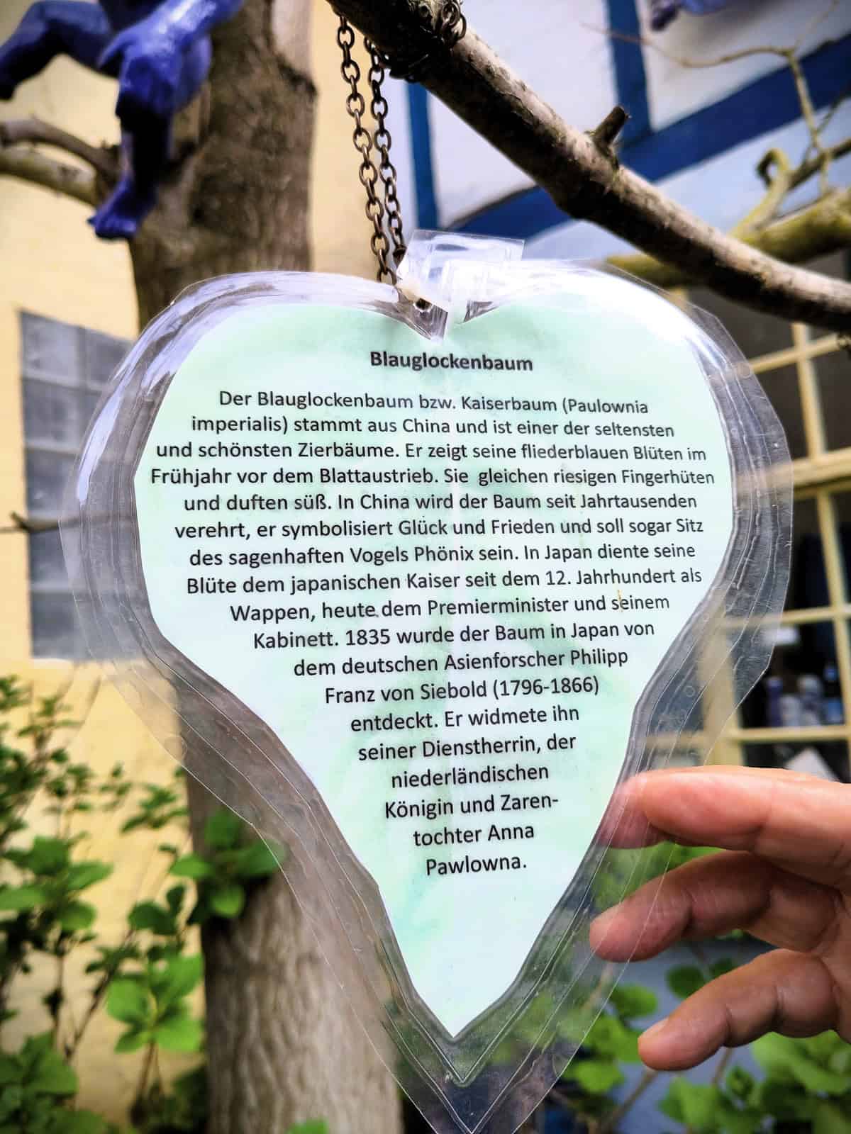 Sign at the Princess tree in the courtyard of the Museum Blau in Schwetzingen