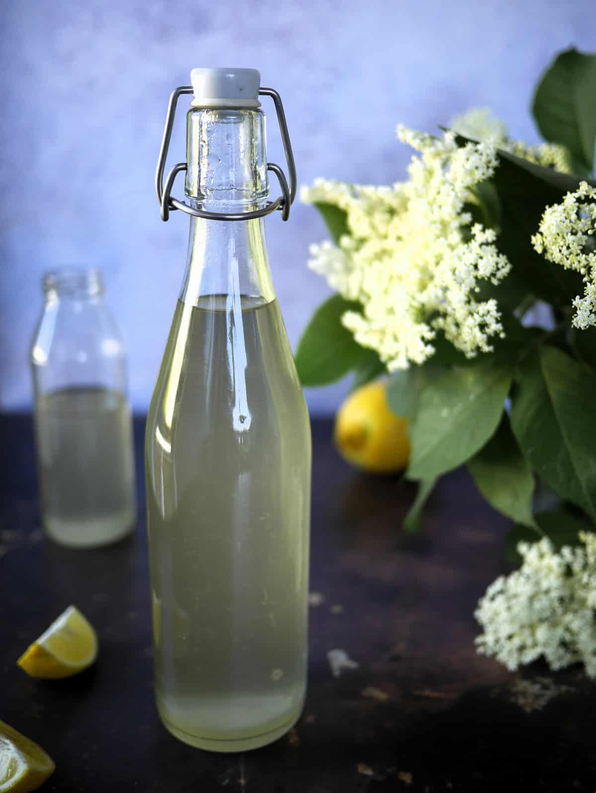 bottled elderflower syrup