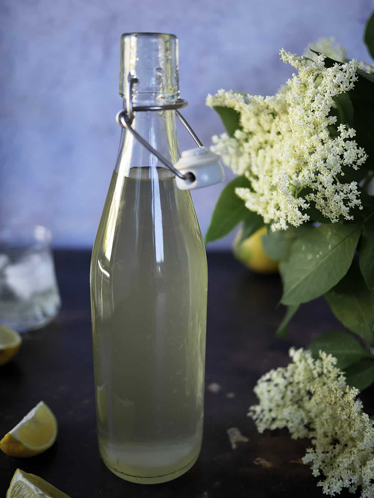 bottled elderflower syrup
