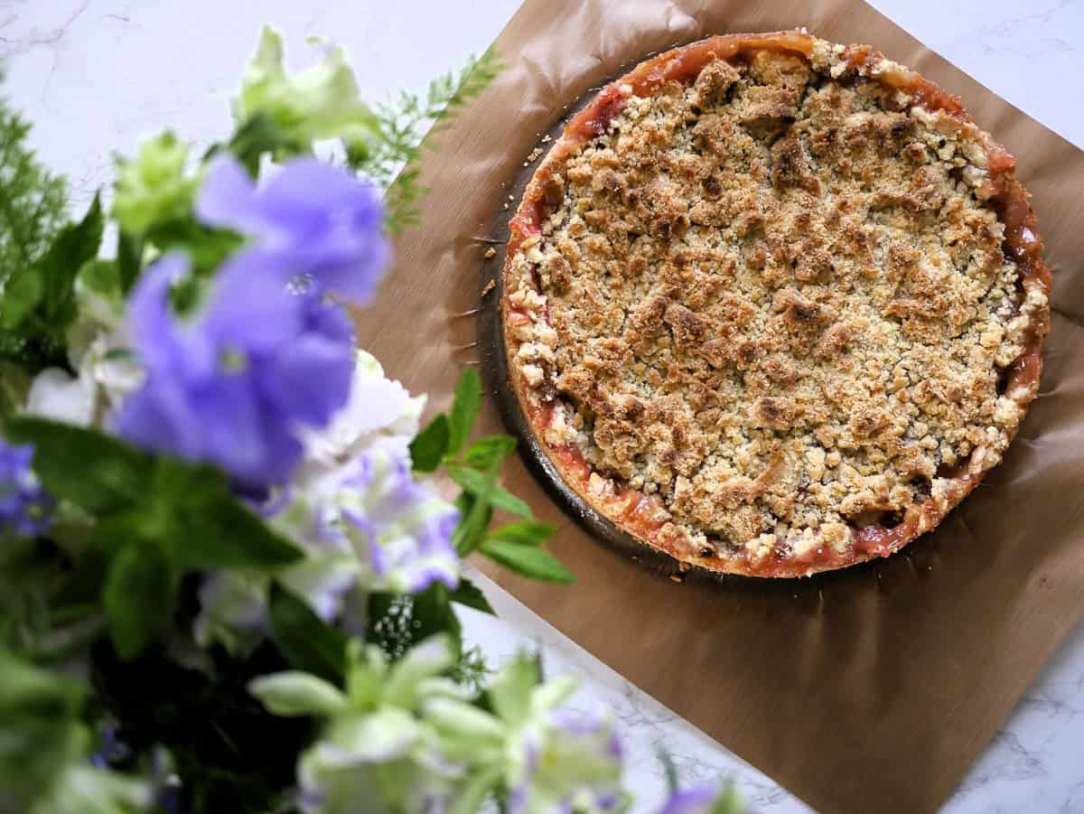 vegan rhubarb cake with streusel and pudding
