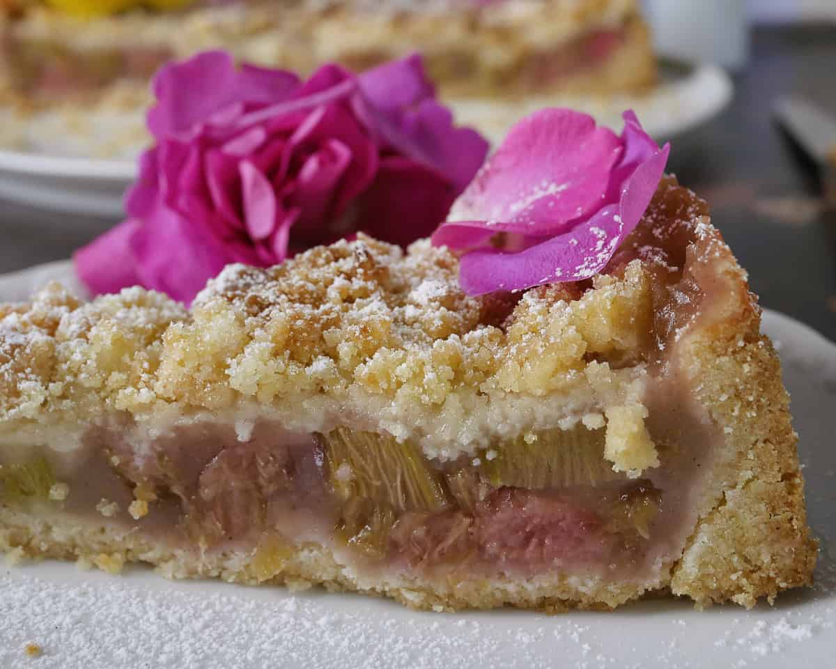 vegan rhubarb cake with streusel and pudding