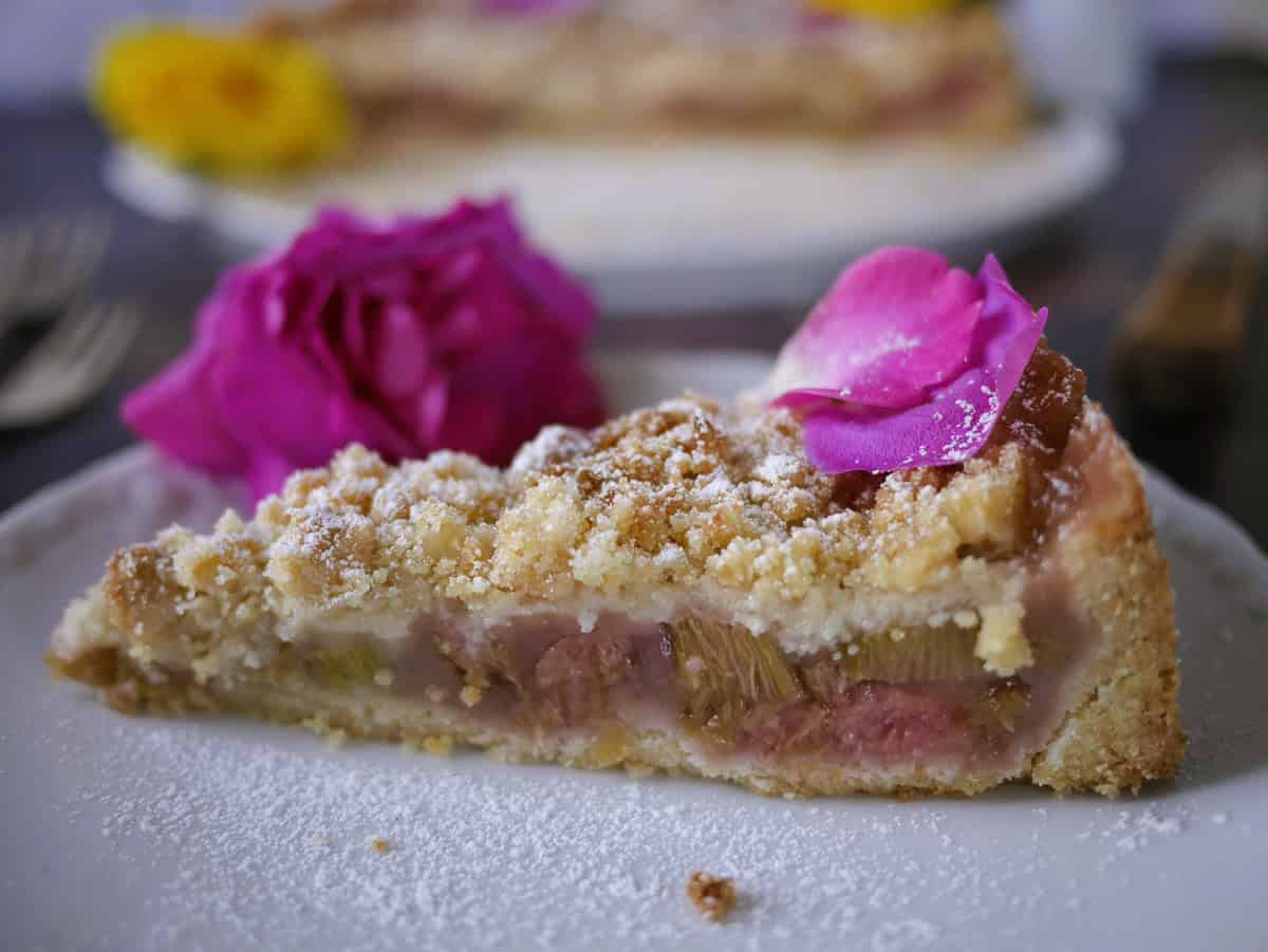 vegan rhubarb cake with streusel and pudding