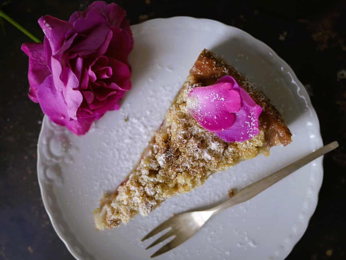 vegan rhubarb cake with streusel and pudding