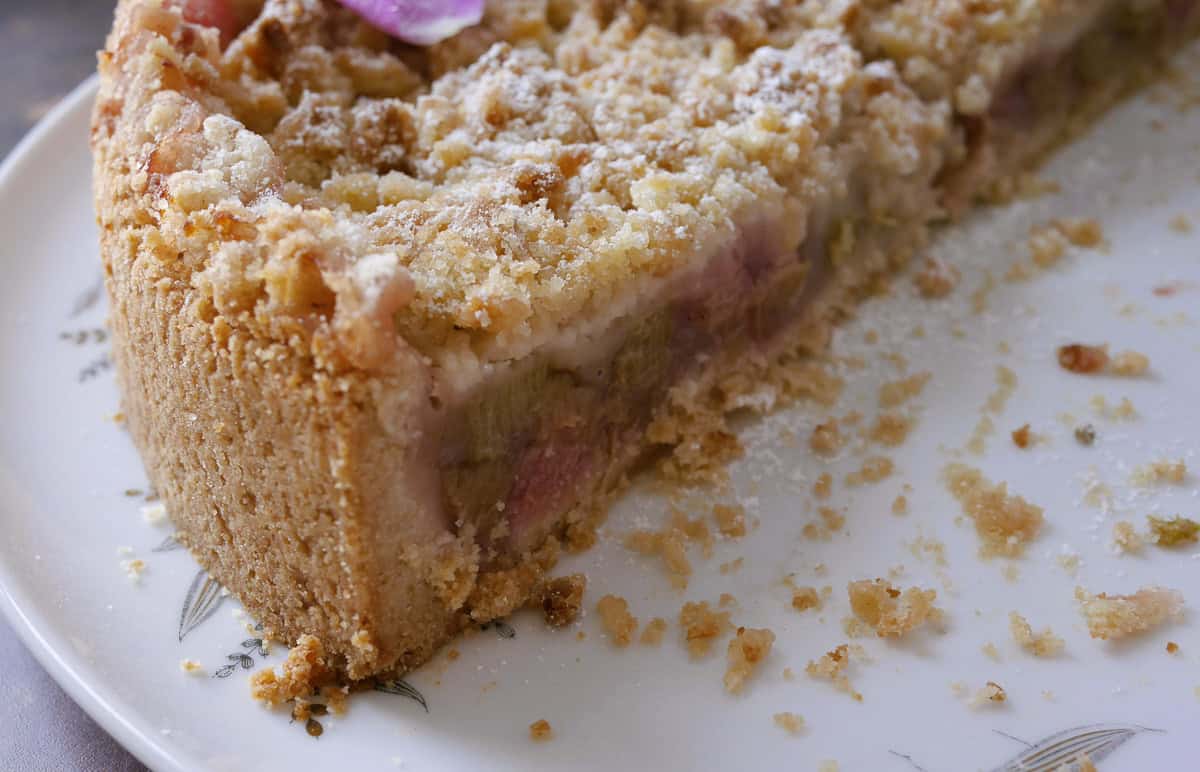 vegan rhubarb cake with streusel and pudding