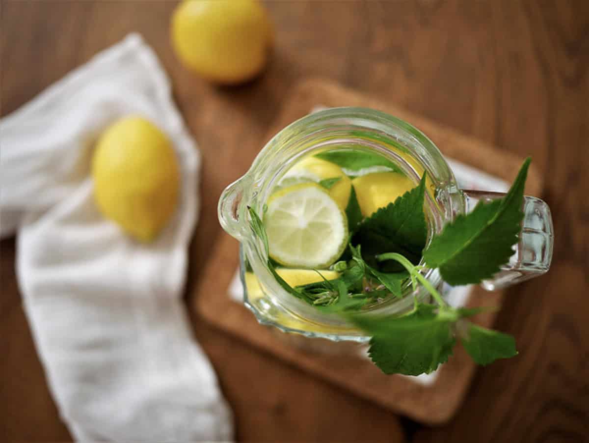infused water recipe with lemon and catnip
