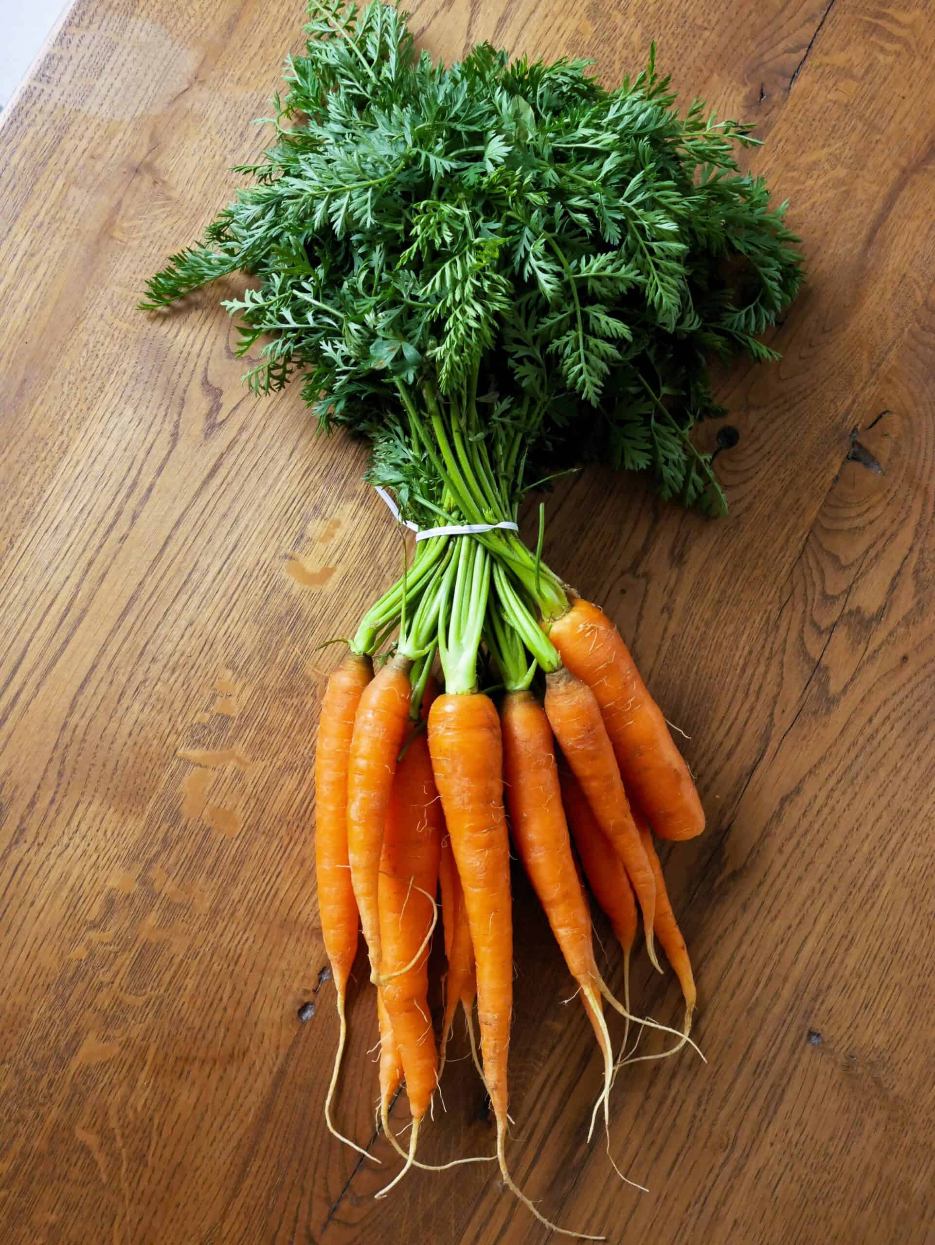 bunch of carrots with leafy tops