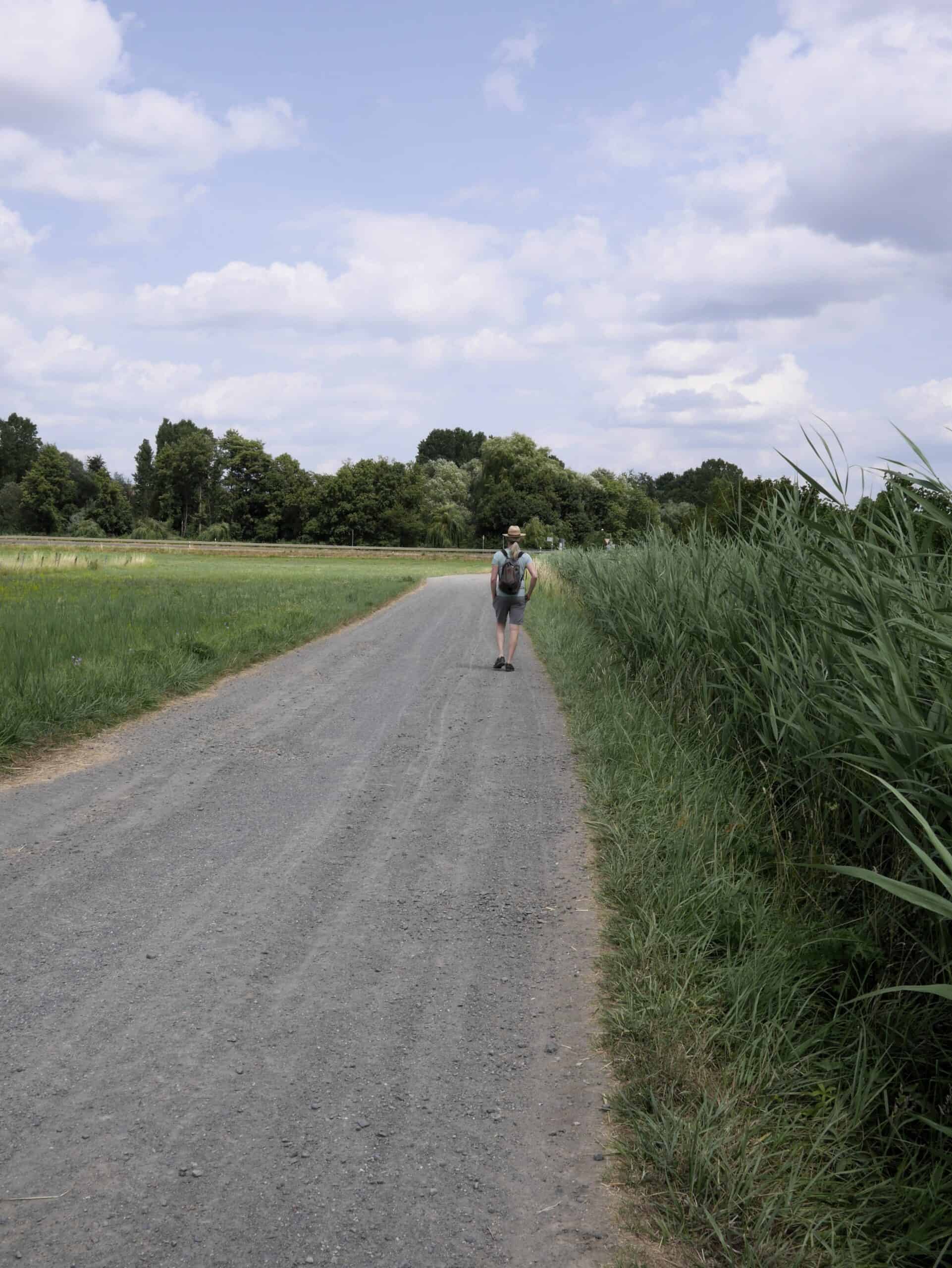 Person walking along a quiet country road between green fields and tall grass under a cloudy summer sky